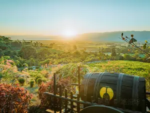 紅山葡萄酒莊園