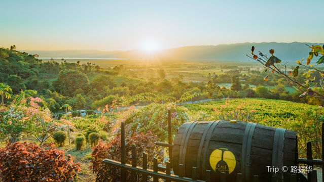 Red Mountain Estate Vineyards & Winery