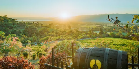 紅山葡萄酒莊園