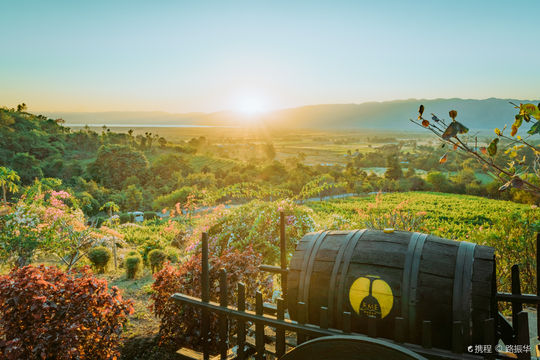 Red Mountain Estate Vineyards & Winery