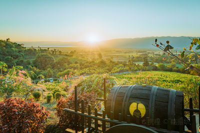 Red Mountain Estate Vineyards & Winery