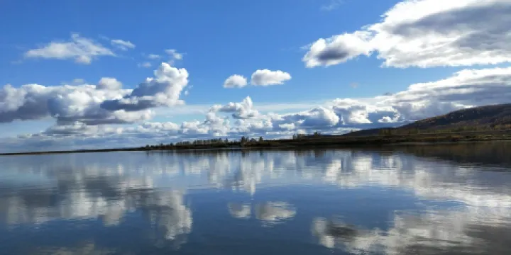 嘉蔭縣向陽鄉黃魚臥子村魚鄉美楊家小院