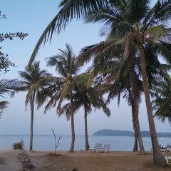 Cherating Beach Bar Nutzerfoto