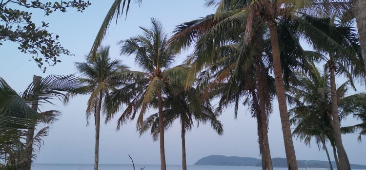 Cherating Beach Bar