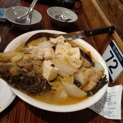 Smart Fish User Photo