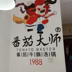 TOMATO MASTER User Photo
