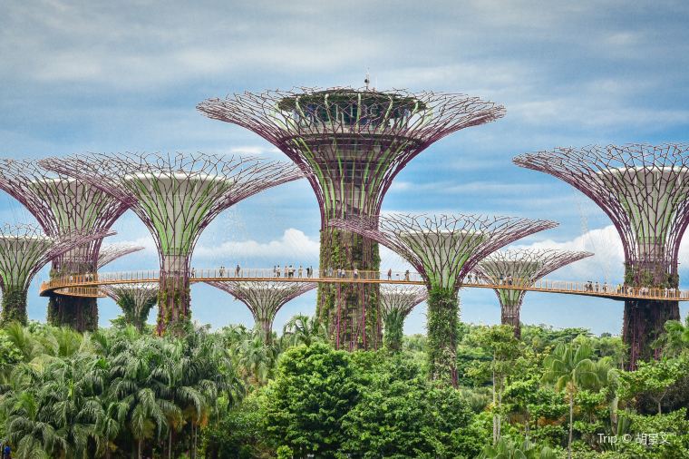 Gardens By The Bay
