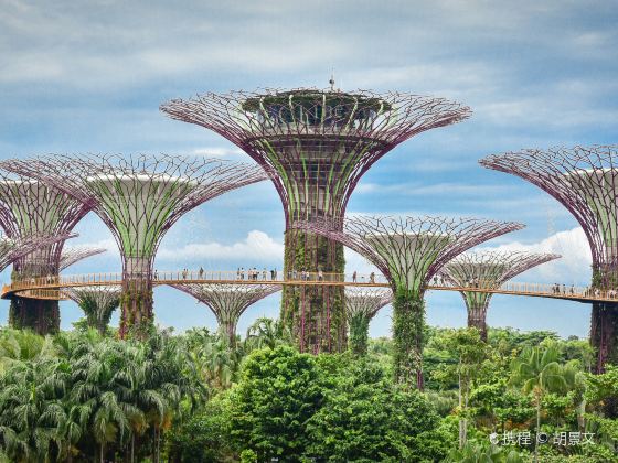 Gardens by the Bay