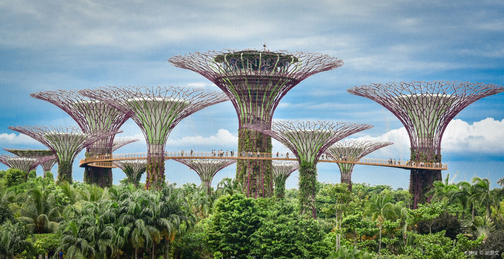 新加坡濱海灣花園打卡+魚尾獅地標+文化街區+歐風建築一日遊