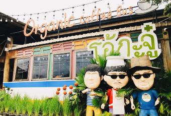 Ohkajhu - Nim City User Photo