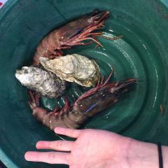 Welcome Seafood Restaurant User Photo