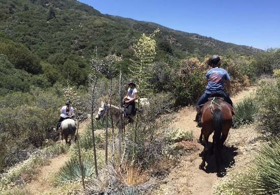 Sunset Ranch Hollywood