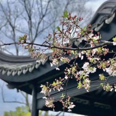 BAI YUN User Photo
