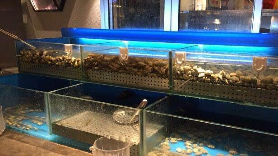 錢小奴海鮮自助餐廳