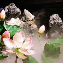 小龙翻大江·火锅美学(外滩店) User Photo