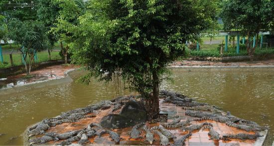 Yang Bay Eco Park