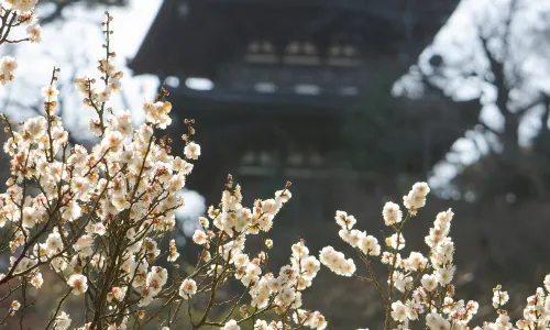 Sankeien Garden