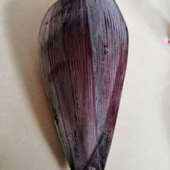 那路傣味园农家乐 User Photo