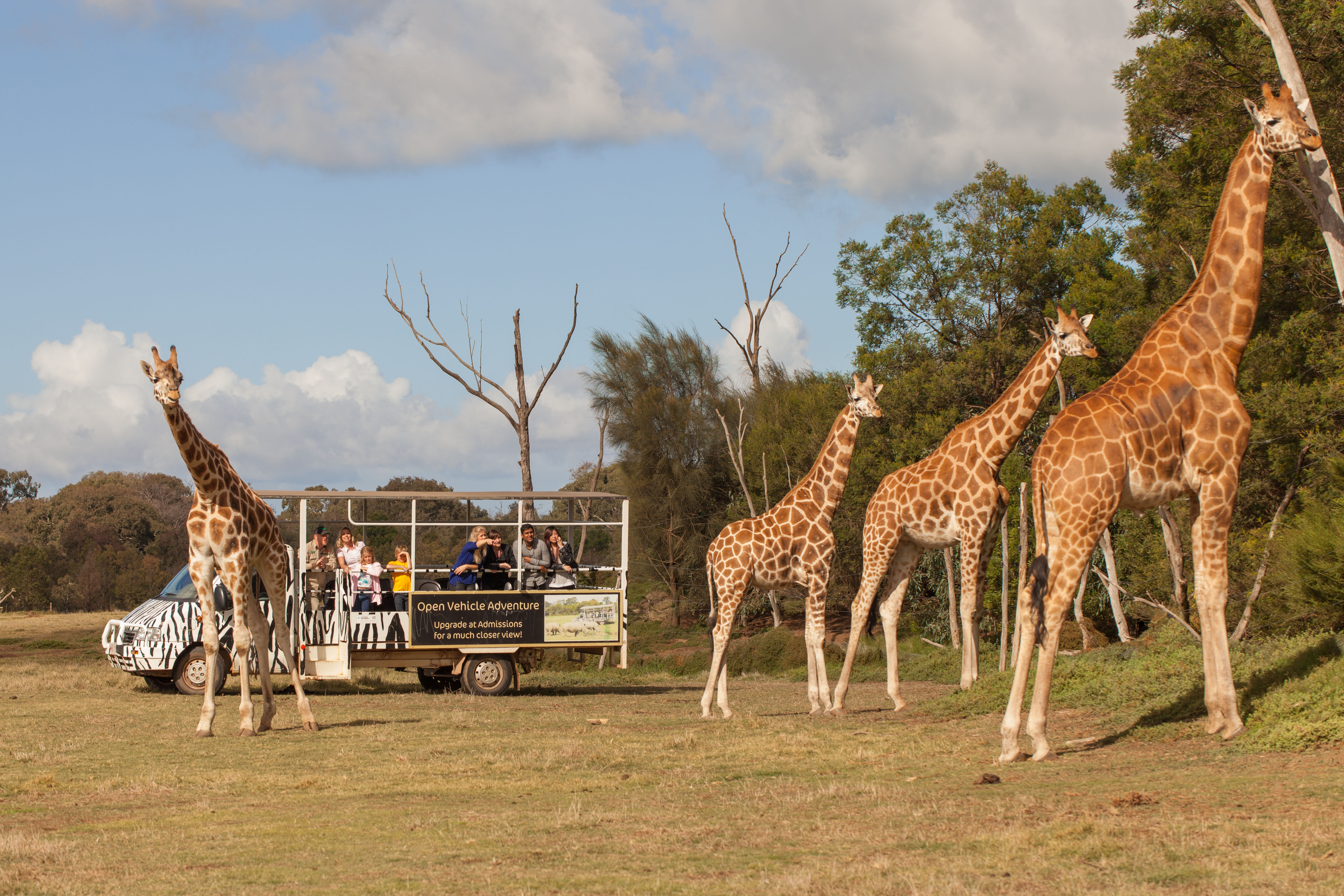 Werribee Open Range Zoo