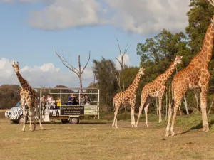 Werribee Open Range Zoo