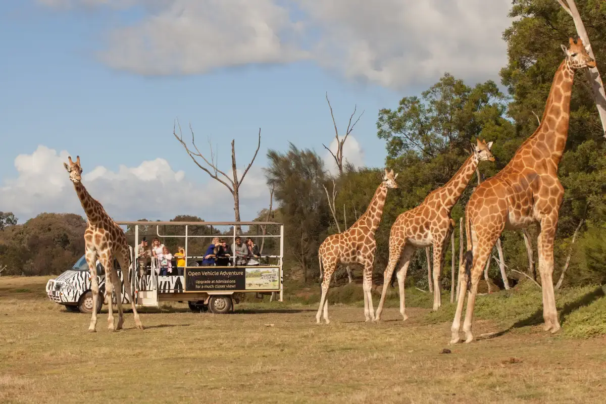 Werribee Open Range Zoo