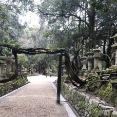 Mizuya Chaya User Photo