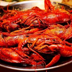 虾农龙虾 User Photo