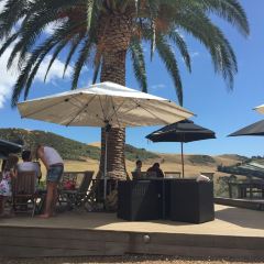 Wild on Waiheke Activities User Photo