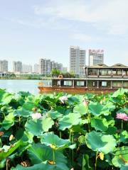 觀音湖景區