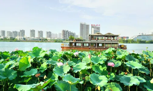 觀音湖景區烏篷船票所有旅客