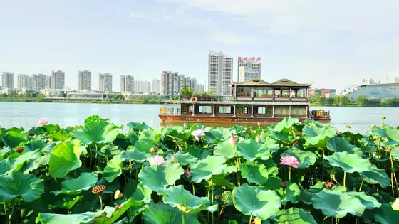 觀音湖景區