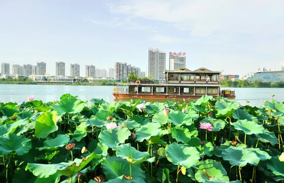 觀音湖景區烏篷船票大小同價