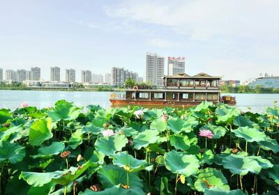 觀音湖景區