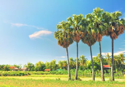 Koh Rong