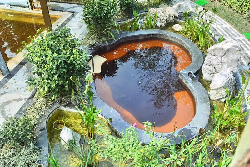 Wuxing Xiangu Hot Springs
