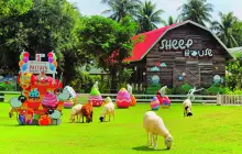 ฟาร์มแกะพัทยาและสวนนกโชว์