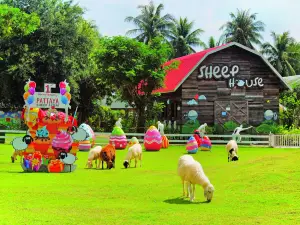 Family Park Pattaya Sheep Farm