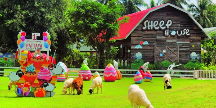 芭堤雅綿羊牧場