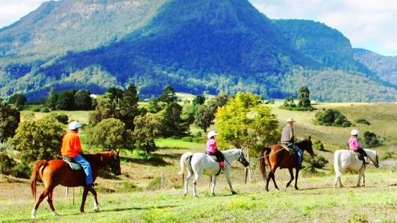 Curringa Farm