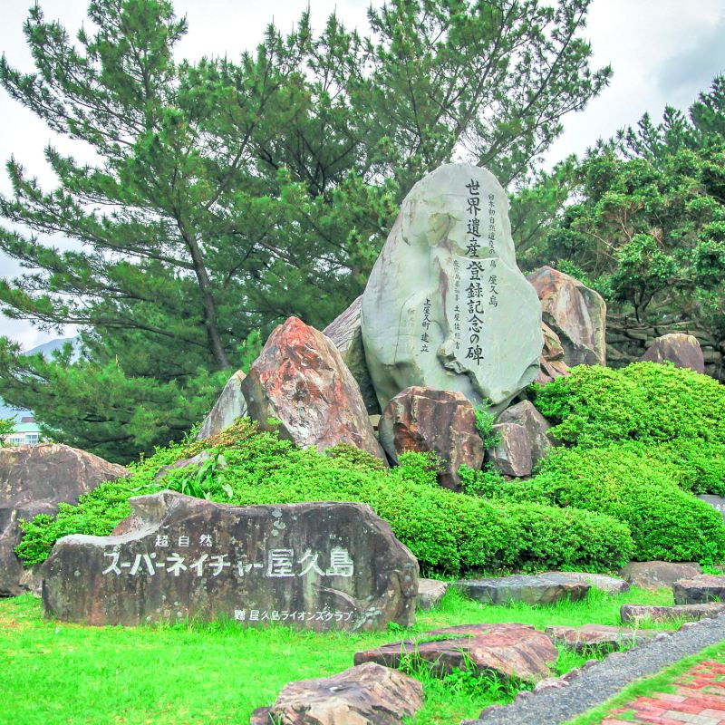 屋久島旅遊攻略指南 屋久島評價 屋久島附近推薦 Trip Com