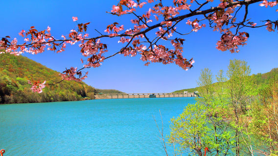 積丹町日遊