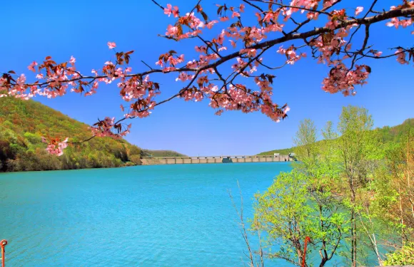 北海道小樽：神威岬+積丹半島+青之洞窟【中文包車-不拼團】