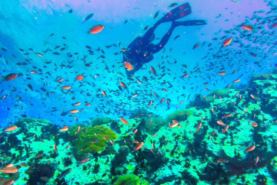 Ko Tao Deep Diving