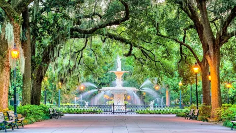 Savannah travel destination