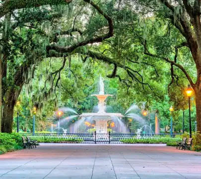 サバンナのホテル