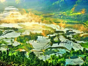 Shangbao Rice Terraces