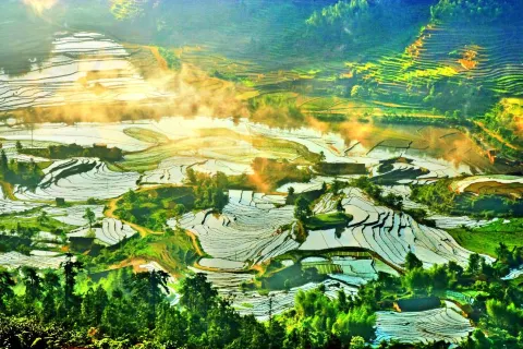 Shangbao Rice Terraces
