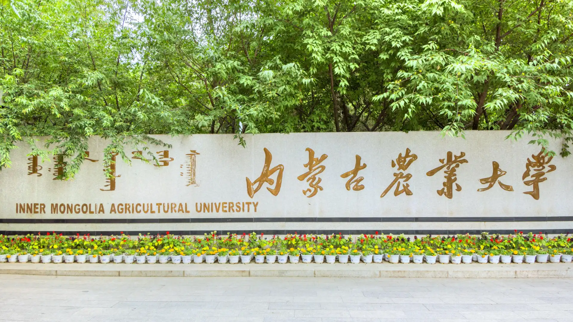 Hotels near Inner Mongolia Agricultural University