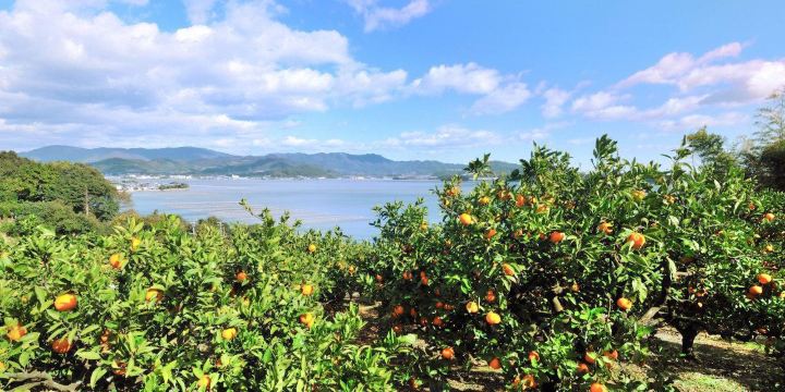 Lake Hamana