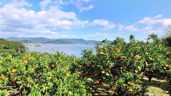 Lake Hamana